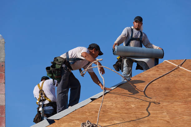 Best Emergency Roof Repair  in Buhler, KS