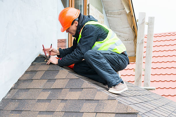 Best Metal Roofing Contractor  in Buhler, KS